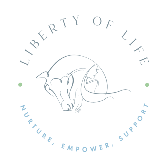 Liberty of Life logo in green and blue on a white background. Features a stylised horse head and woman